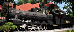 Steam Locomotive(NO.53101)