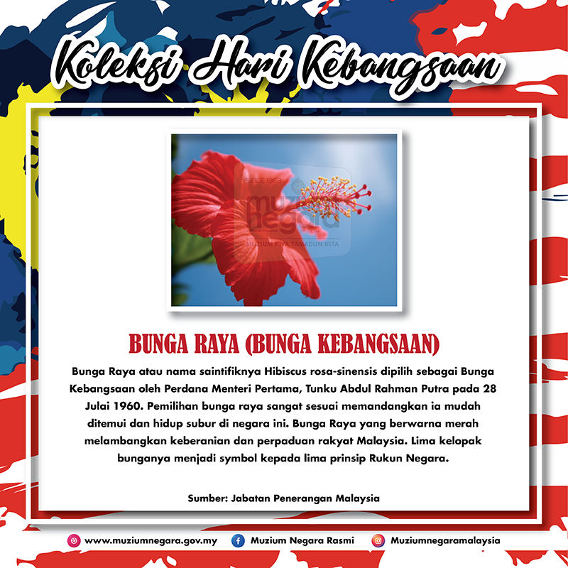 Bunga Raya (Bunga Kebangsaan)